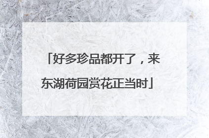 好多珍品都开了，来东湖荷园赏花正当时