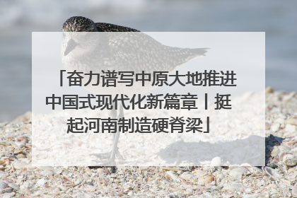 奋力谱写中原大地推进中国式现代化新篇章丨挺起河南制造硬脊梁