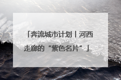 奔流城市计划丨河西走廊的“紫色名片”
