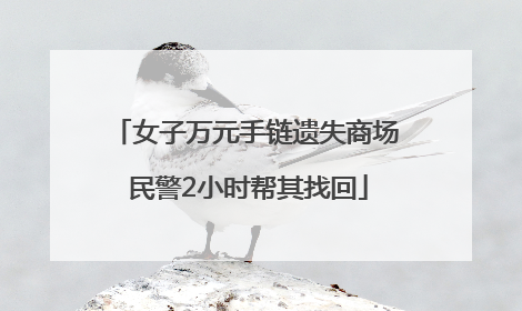 女子万元手链遗失商场 民警2小时帮其找回