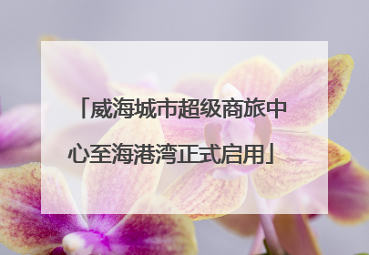 威海城市超级商旅中心至海港湾正式启用