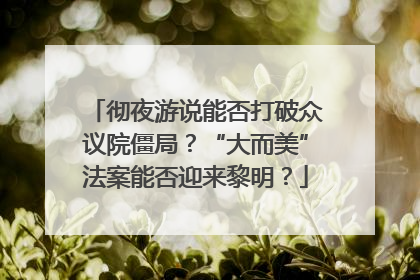 彻夜游说能否打破众议院僵局？“大而美”法案能否迎来黎明？