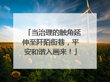 当治理的触角延伸至阡陌街巷，平安和谐入画来！
