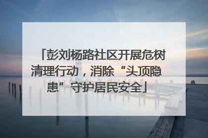 彭刘杨路社区开展危树清理行动，消除“头顶隐患”守护居民安全