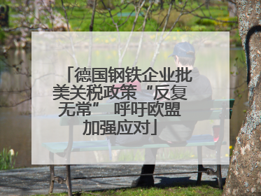 德国钢铁企业批美关税政策“反复无常” 呼吁欧盟加强应对