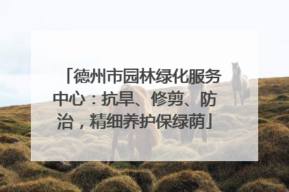 德州市园林绿化服务中心：抗旱、修剪、防治，精细养护保绿荫