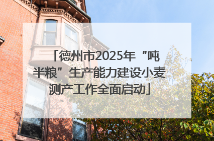 德州市2025年“吨半粮”生产能力建设小麦测产工作全面启动