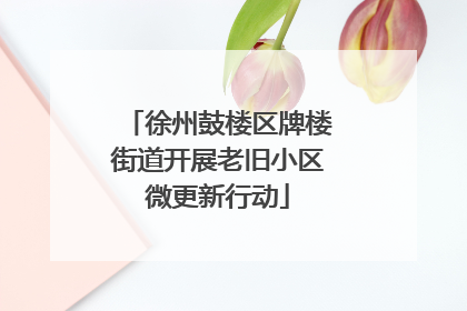 徐州鼓楼区牌楼街道开展老旧小区微更新行动
