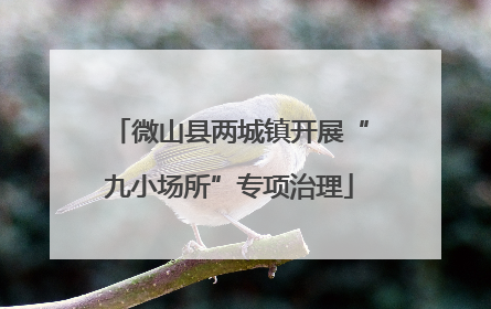 微山县两城镇开展“九小场所”专项治理