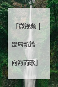 微视频｜鹭岛新篇 向海而歌
