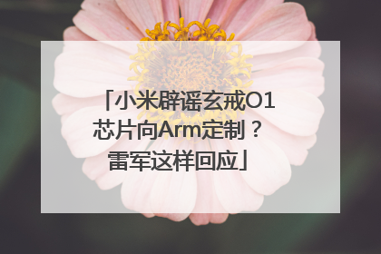 小米辟谣玄戒O1芯片向Arm定制？雷军这样回应