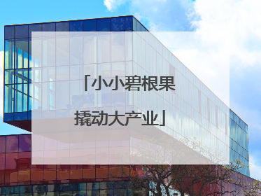 小小碧根果撬动大产业