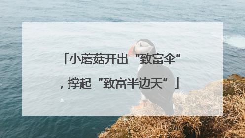 小蘑菇开出“致富伞”，撑起“致富半边天”