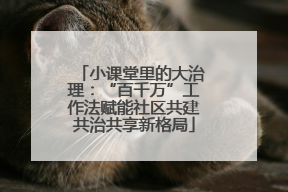 小课堂里的大治理：“百千万”工作法赋能社区共建共治共享新格局