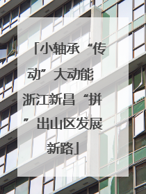 小轴承“传动”大动能 浙江新昌“拼”出山区发展新路