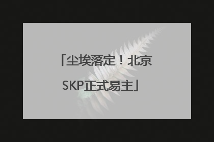 尘埃落定！北京SKP正式易主