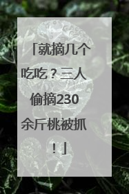 就摘几个吃吃？三人偷摘230余斤桃被抓！