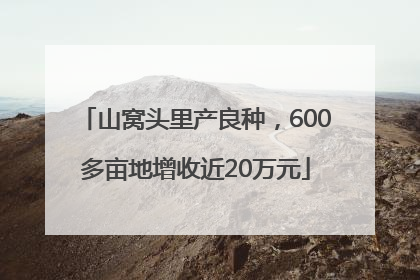山窝头里产良种，600多亩地增收近20万元