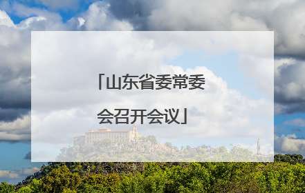 山东省委常委会召开会议