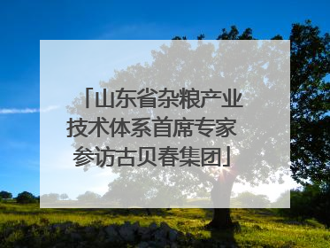 山东省杂粮产业技术体系首席专家参访古贝春集团