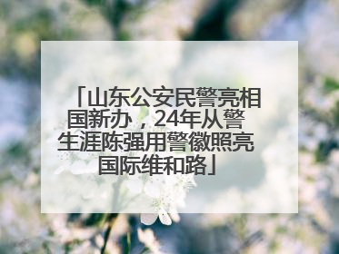 山东公安民警亮相国新办，24年从警生涯陈强用警徽照亮国际维和路