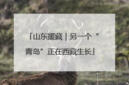 山东援藏｜另一个“青岛”正在西藏生长