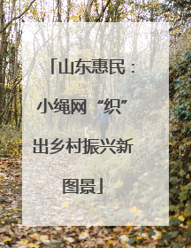 山东惠民：小绳网“织”出乡村振兴新图景
