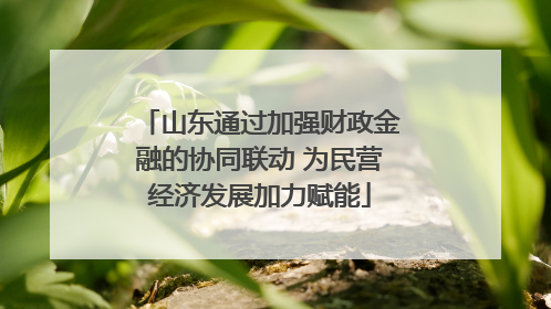山东通过加强财政金融的协同联动 为民营经济发展加力赋能