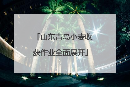 山东青岛小麦收获作业全面展开