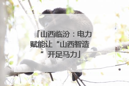 山西临汾：电力赋能让“山西智造”开足马力