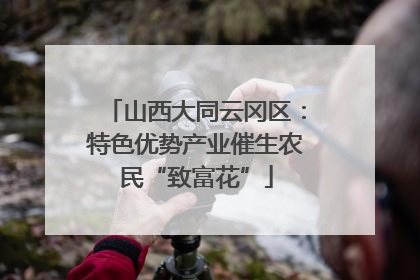 山西大同云冈区：特色优势产业催生农民“致富花”