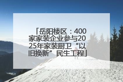 岳阳楼区：400家家装企业参与2025年家装厨卫“以旧换新”民生工程