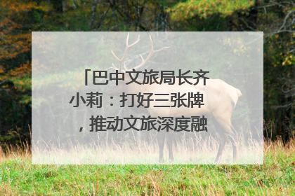 巴中文旅局长齐小莉：打好三张牌，推动文旅深度融合｜文旅局长说