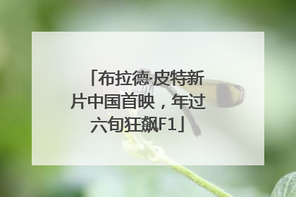 布拉德·皮特新片中国首映，年过六旬狂飙F1