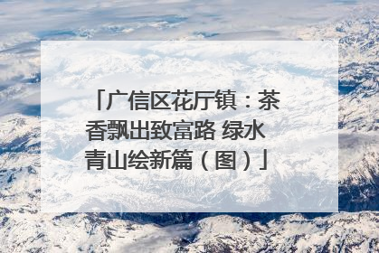 广信区花厅镇：茶香飘出致富路 绿水青山绘新篇（图）