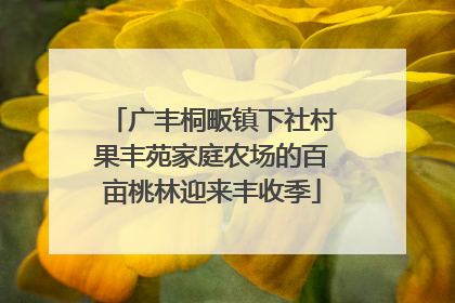 广丰桐畈镇下社村果丰苑家庭农场的百亩桃林迎来丰收季