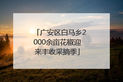 广安区白马乡2000余亩花椒迎来丰收采摘季