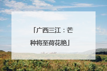 广西三江：芒种将至荷花艳