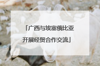 广西与埃塞俄比亚开展经贸合作交流