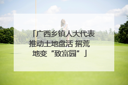广西乡镇人大代表推动土地盘活 撂荒地变“致富园”