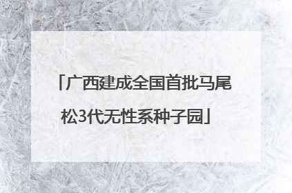 广西建成全国首批马尾松3代无性系种子园