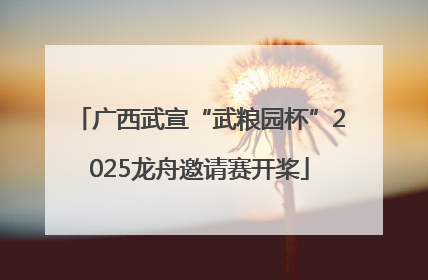 广西武宣“武粮园杯”2025龙舟邀请赛开桨
