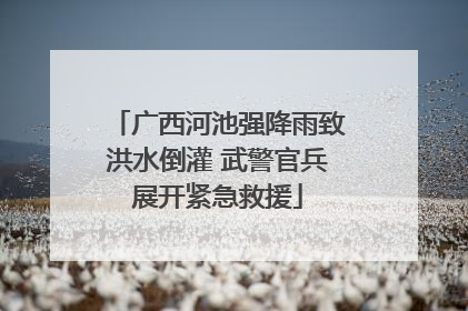 广西河池强降雨致洪水倒灌 武警官兵展开紧急救援