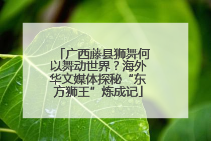 广西藤县狮舞何以舞动世界？海外华文媒体探秘“东方狮王”炼成记