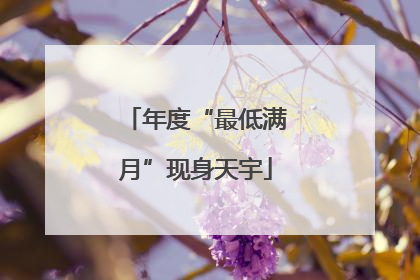 年度“最低满月”现身天宇