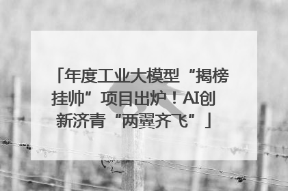 年度工业大模型“揭榜挂帅”项目出炉！AI创新济青“两翼齐飞”