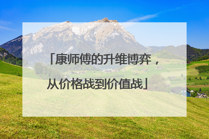 康师傅的升维博弈，从价格战到价值战