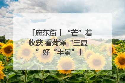 府东街丨“芒”着收获 看菏泽“三夏”好“丰景”