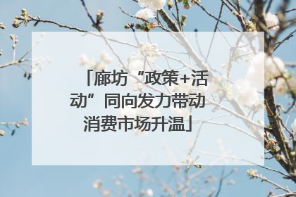 廊坊“政策+活动”同向发力带动消费市场升温