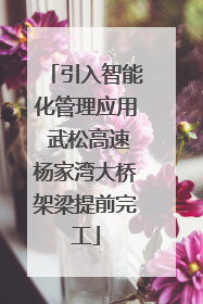 引入智能化管理应用 武松高速杨家湾大桥架梁提前完工